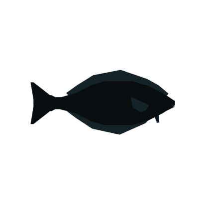 Halibut