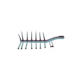 Hallucigenia