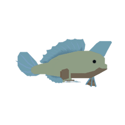 Handfish