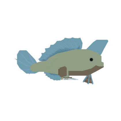 Handfish