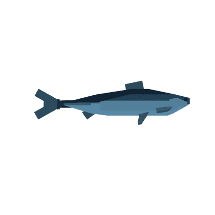 Herring