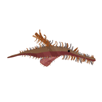Hidden Pipefish
