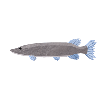Hoarfrost Pike