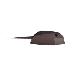 Horseshoe Crab