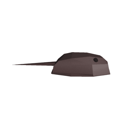 Horseshoe Crab