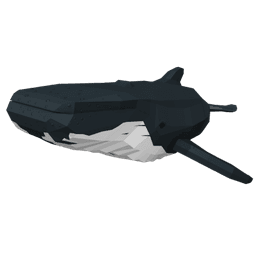Humpback Whale