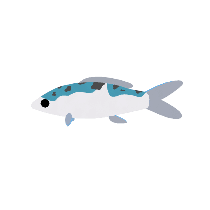 Icebloom Koi