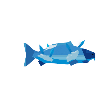 Icy Carp