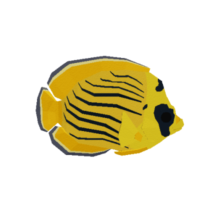 Islandhopper Butterflyfish
