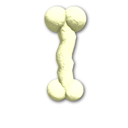Jagged Bone