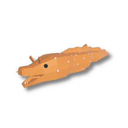 Japanese Dragon Eel