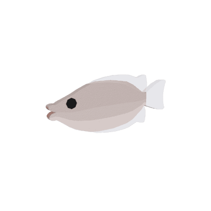 Kissing Gourami