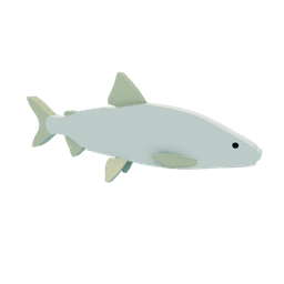 Lake Whitefish