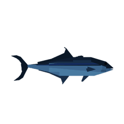 Lapisjack