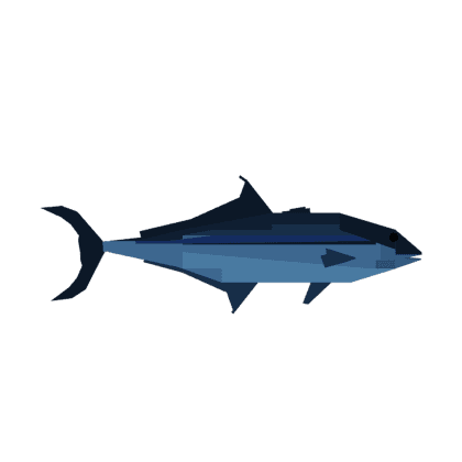 Lapisjack