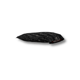 Licorice Leech