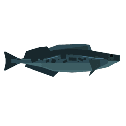 Lingcod