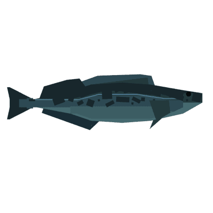 Lingcod