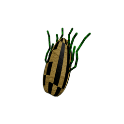 Living Seed