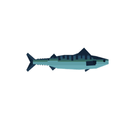 Mackerel