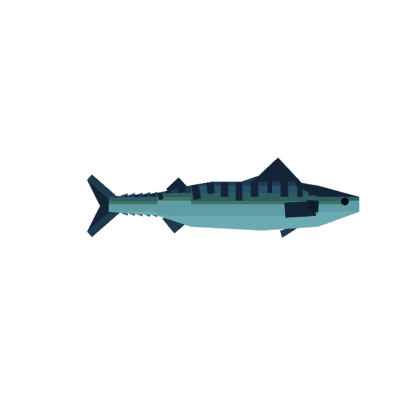 Mackerel