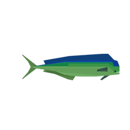 Mahi Mahi