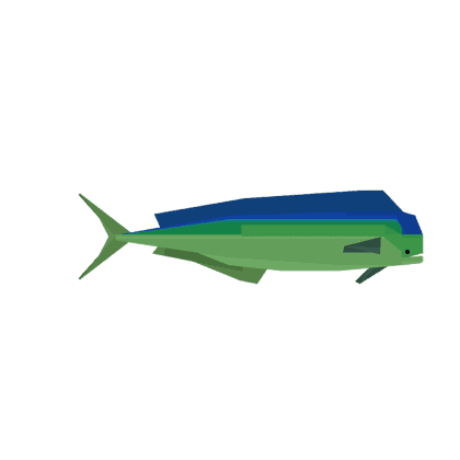 Mahi Mahi