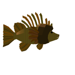 Mained Lionfish