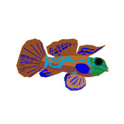 Mandarinfish