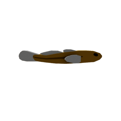 Mero Goby
