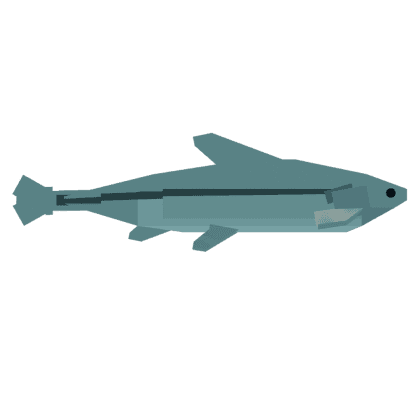 Minnow