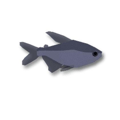 Moenkhausia Pitanga