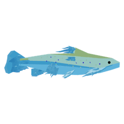 Moon Arctic Char
