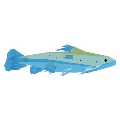 Moon Arctic Char
