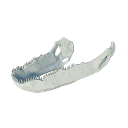 Mossjaw Jaw