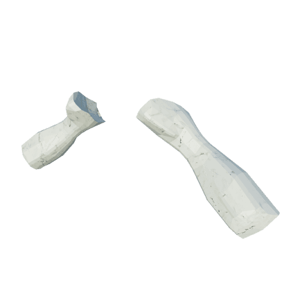 Mossjaw Scapula