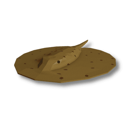 Motoro Stingray