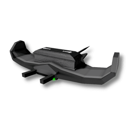 Mourning Manta Ray