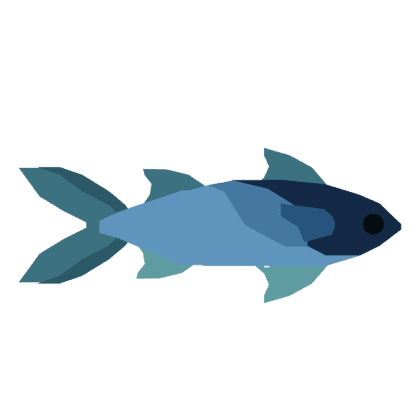 Mullet