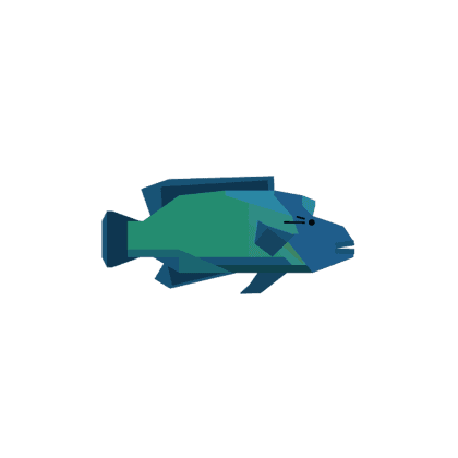 Napoleonfish