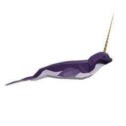 Narwhal