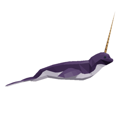 Narwhal