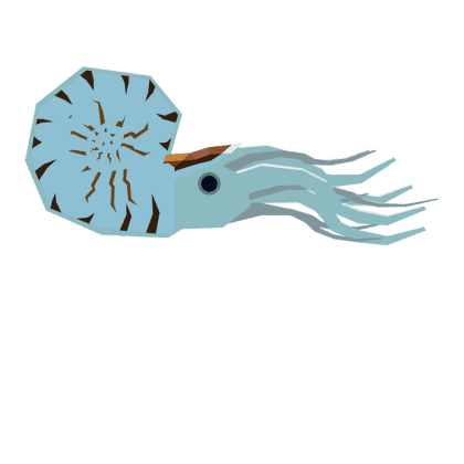 Nautilus
