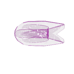 Nebulous Comb Jelly