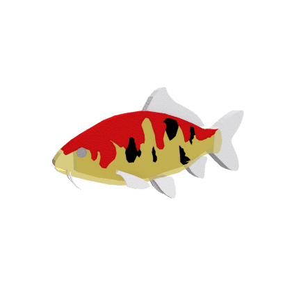 Nectar Koi