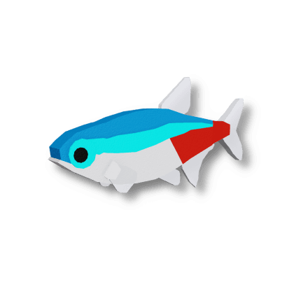 Neon Tetra