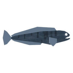 Net Wolffish