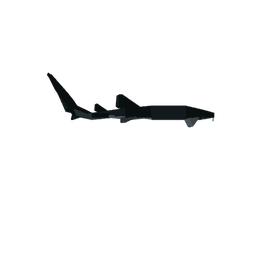 Nurse Shark