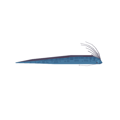 Oarfish