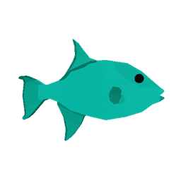 Ocean Triggerfish